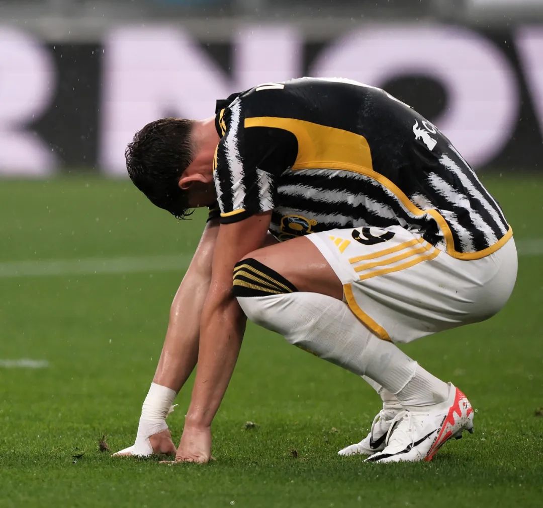 历史地位 历史地位